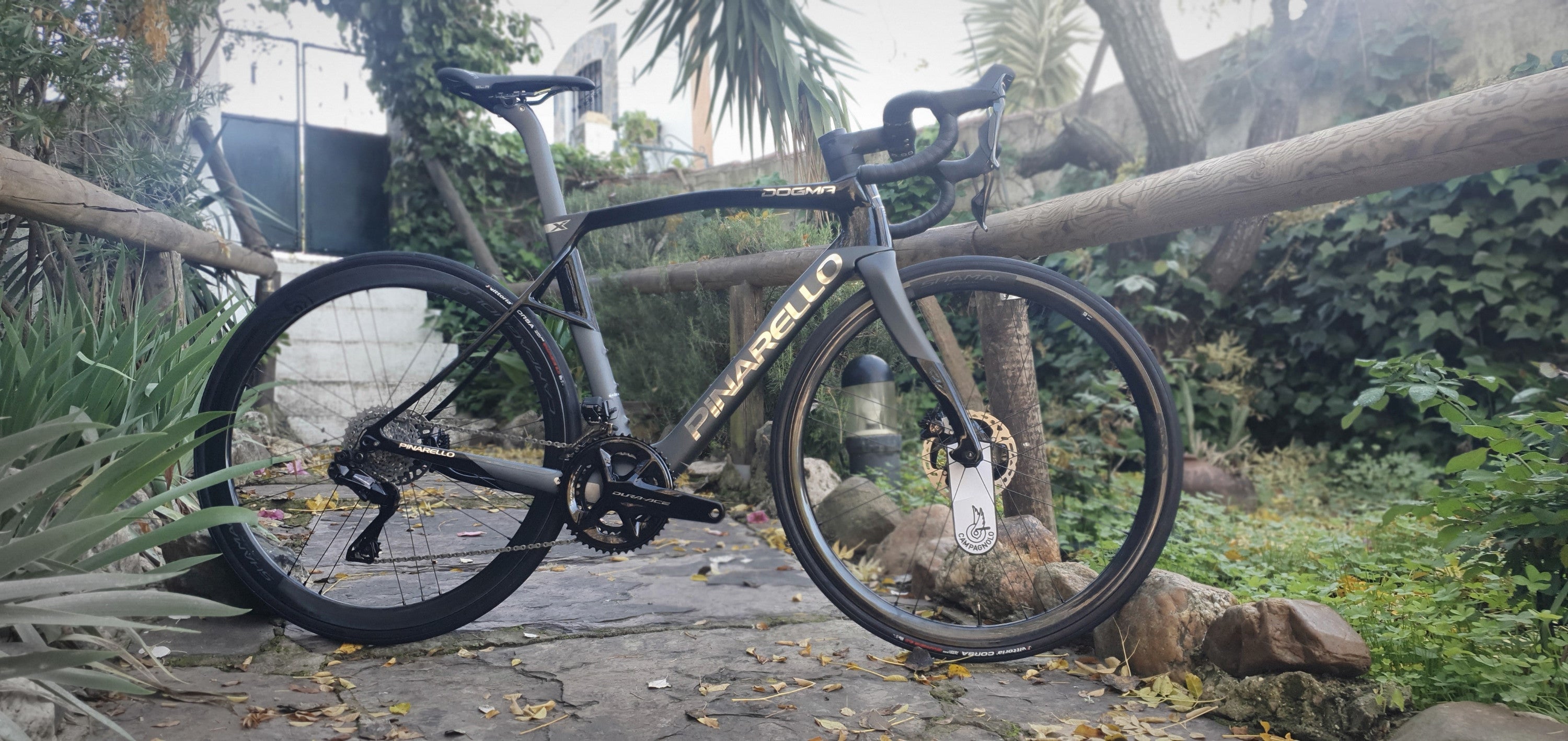 Pinarello Dogma X 2024