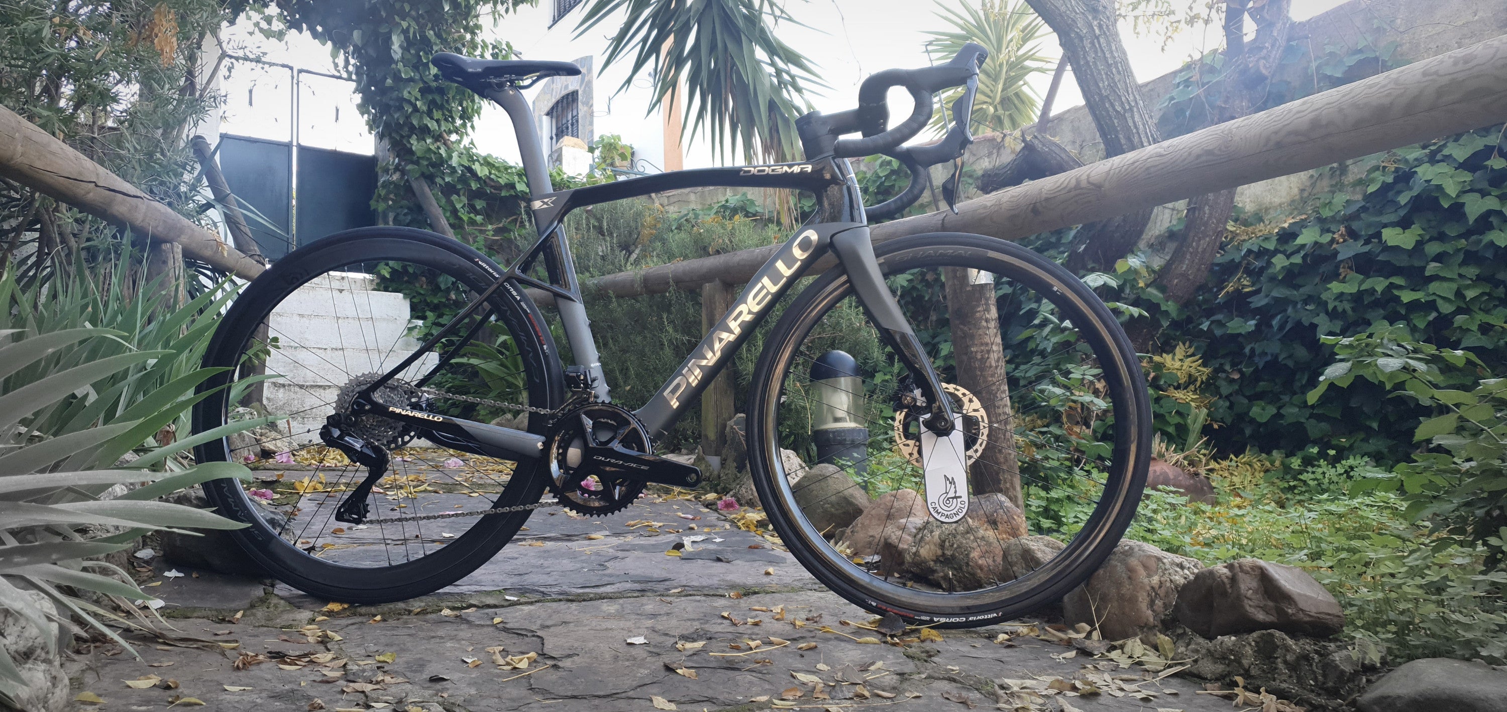 Pinarello Dogma X 2024
