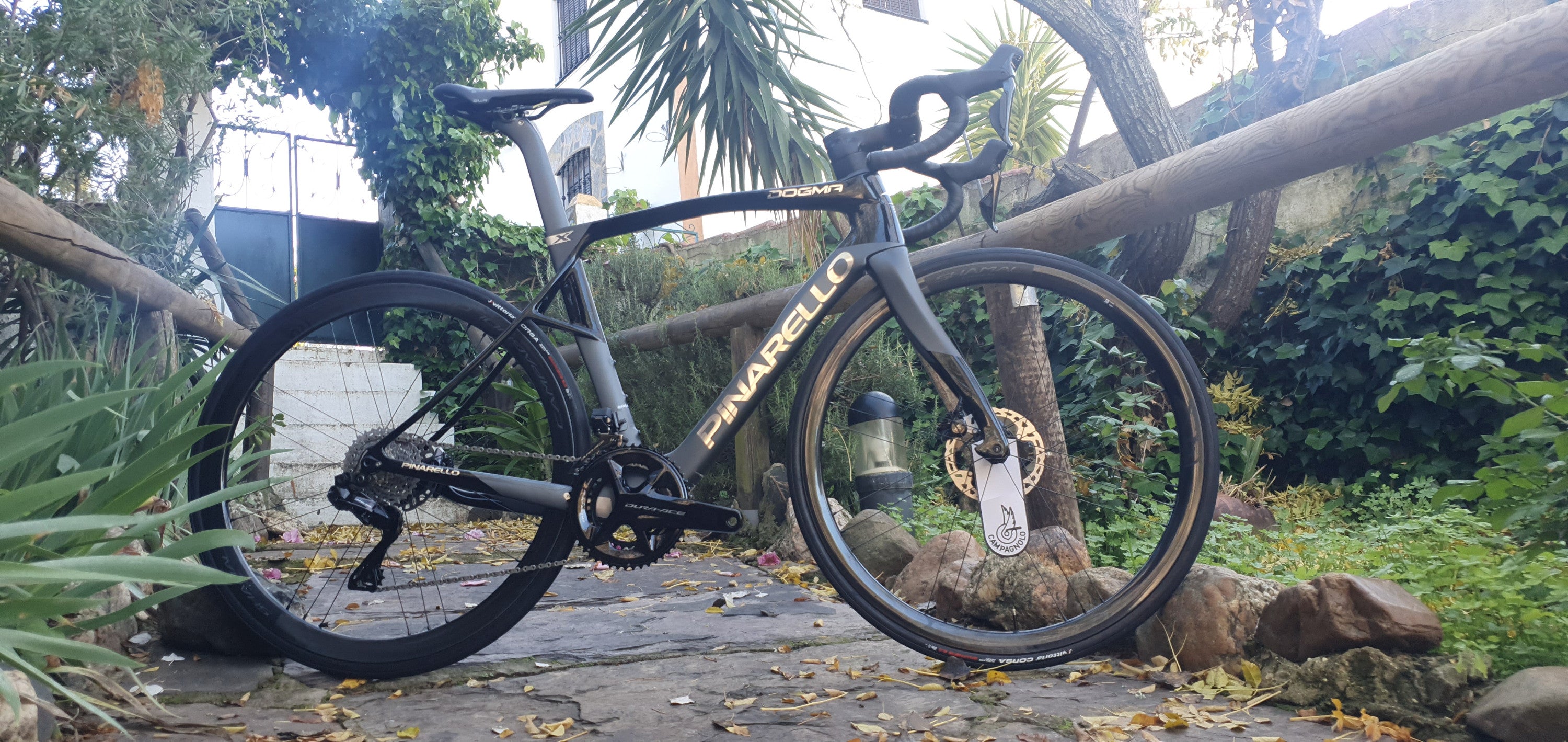 Pinarello Dogma X 2024