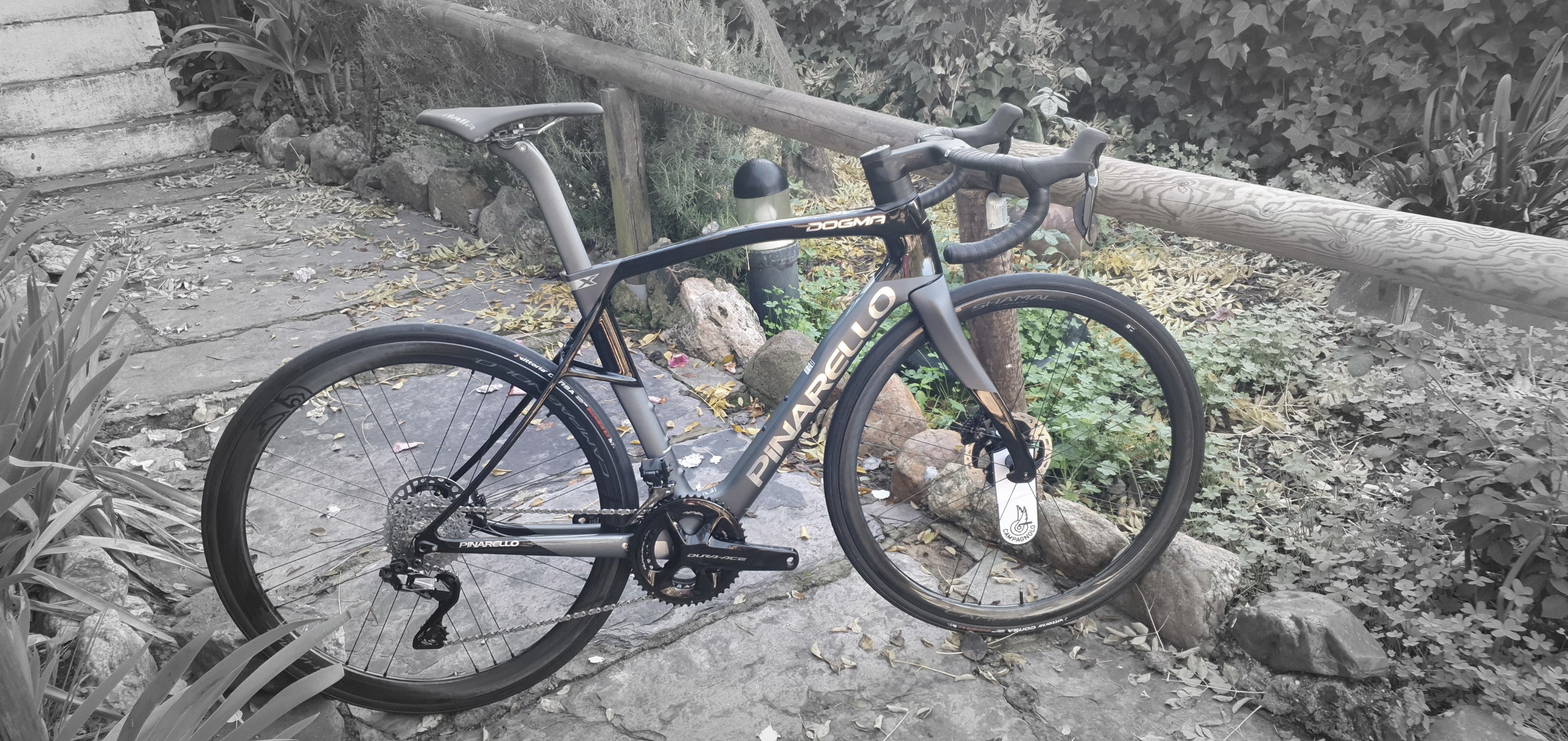 Pinarello Dogma X 2024