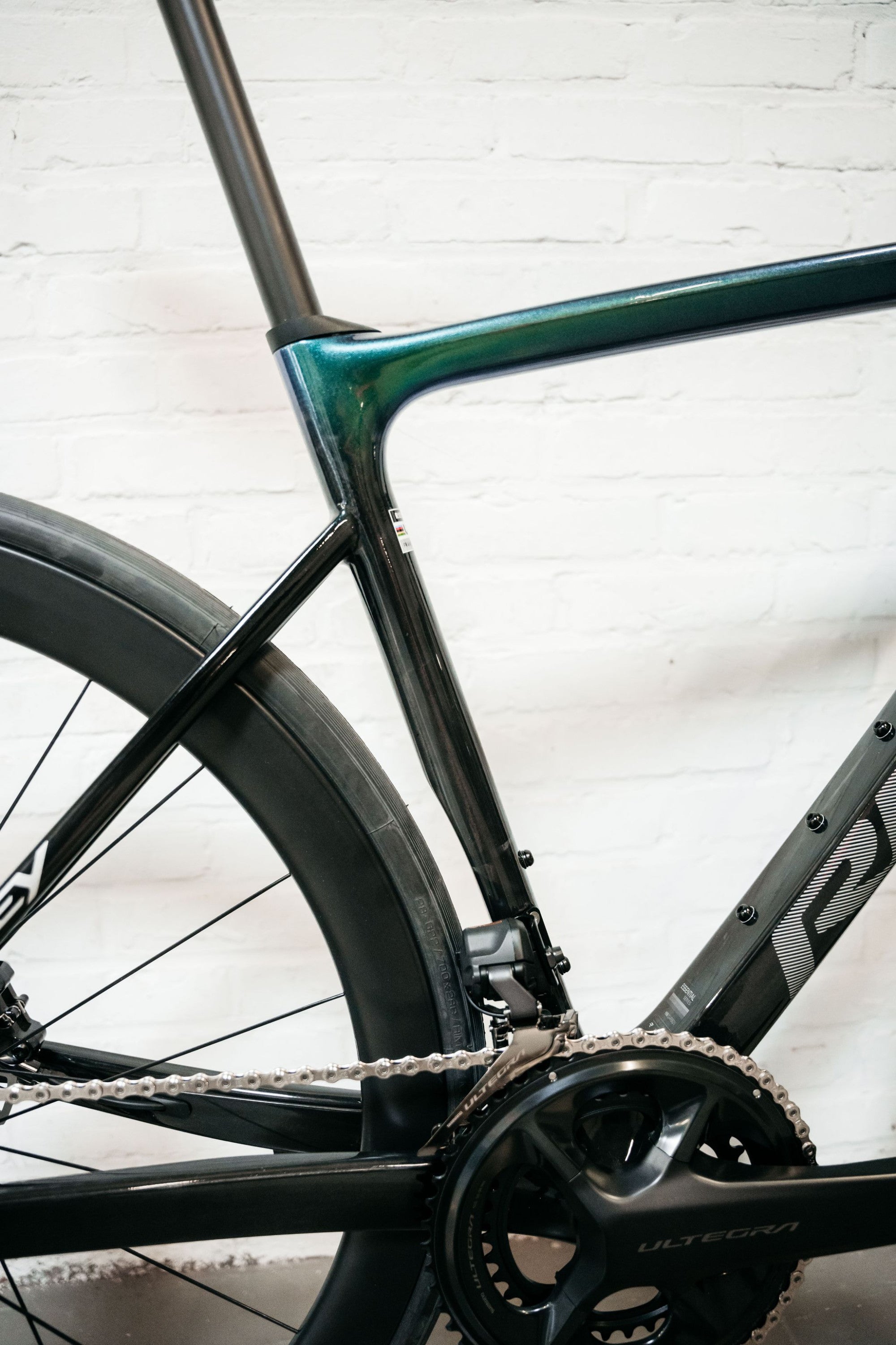 RIDLEY FALCN ESSENTIAL 2025