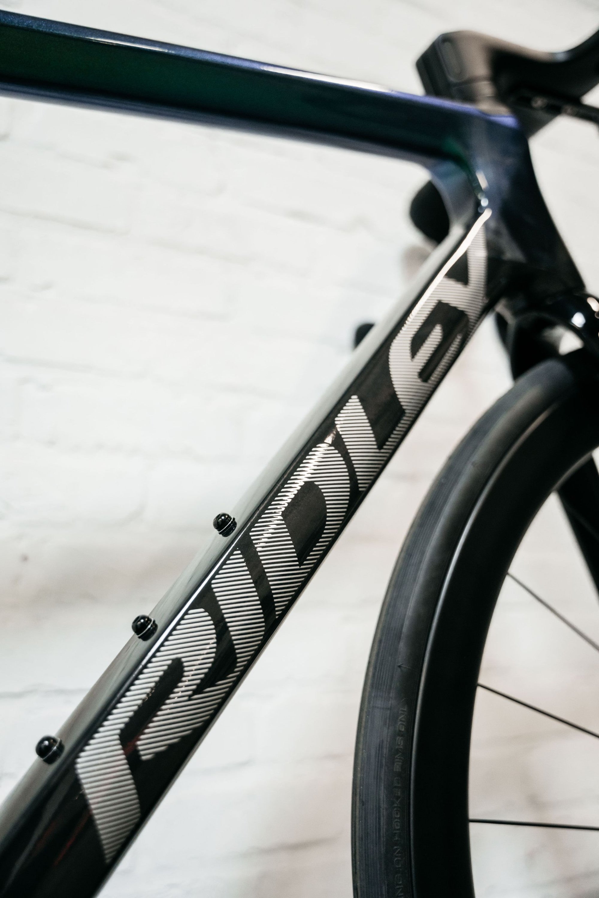 RIDLEY FALCN ESSENTIAL 2025