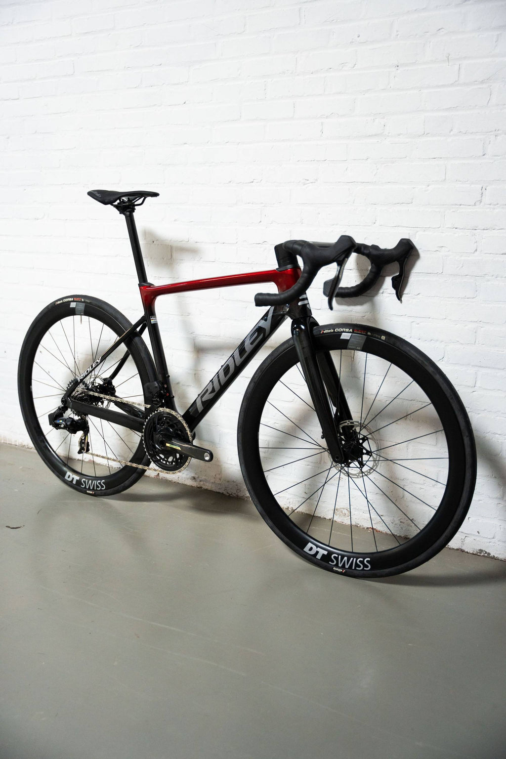 RIDLEY FALCN ESSENTIAL 2025