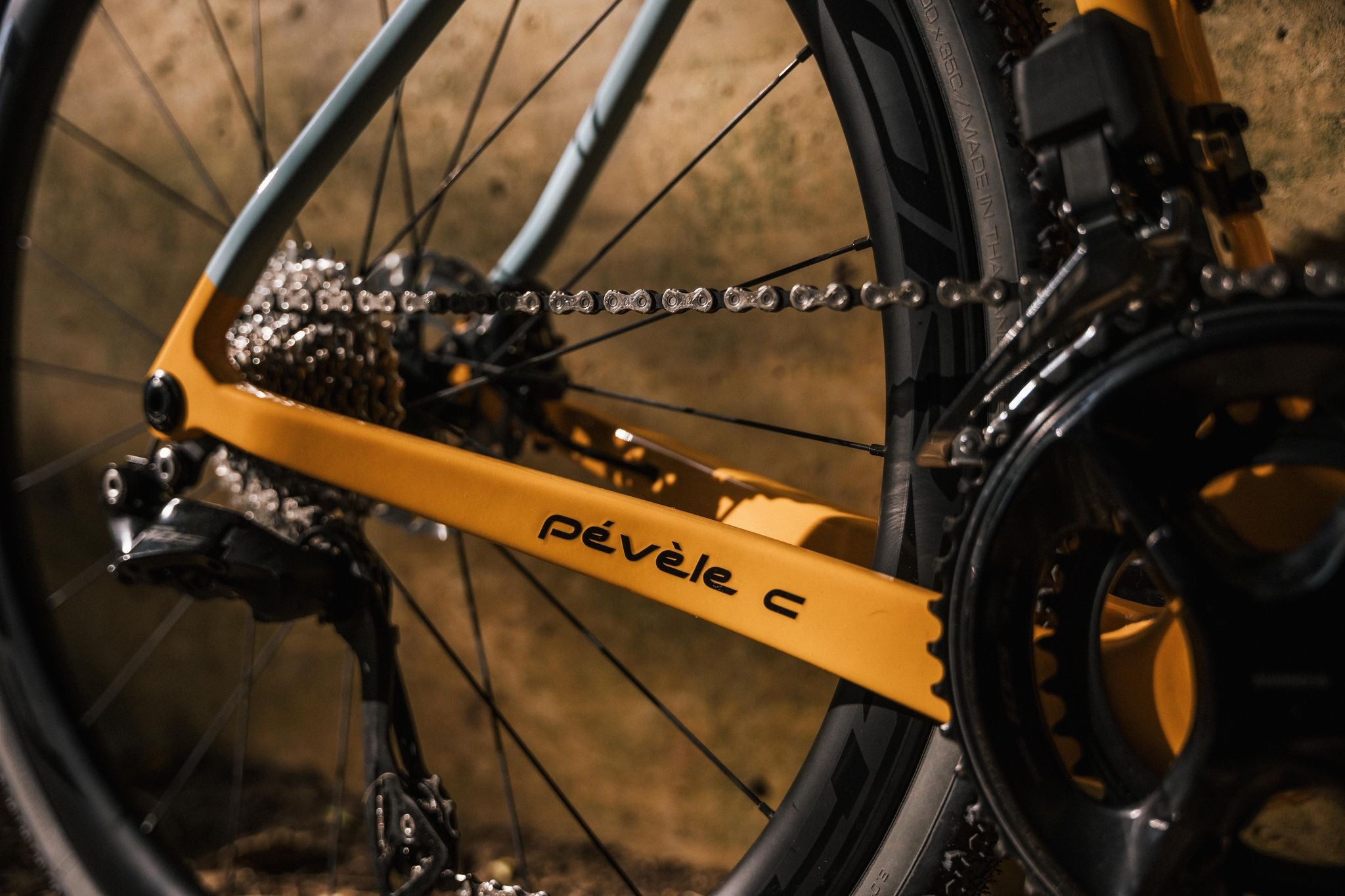 Eddy Merckx Prevele Carbon NEW 2025 All Road