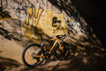Eddy Merckx Prevele Carbon NEW 2025 All Road